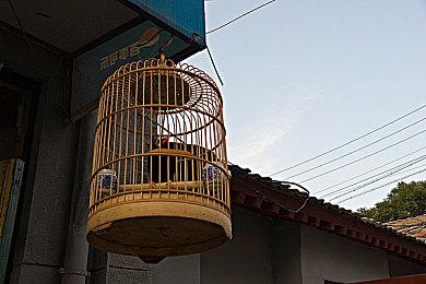 《灵拳 Spirit X Strike》试玩Demo提前开放，正式命名确认！